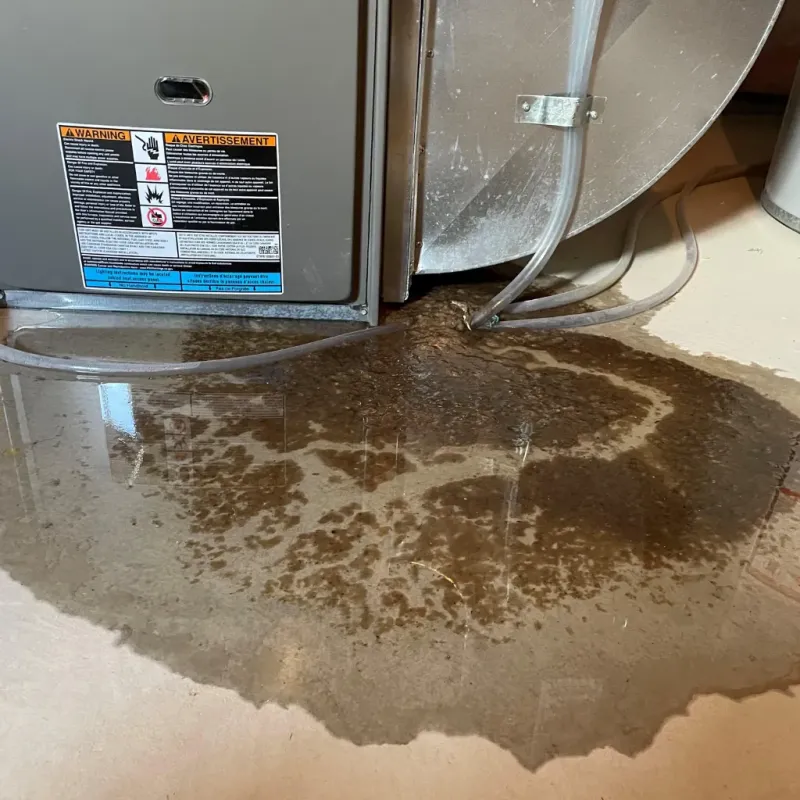 Appliance Leak Cleanup in Nicollet, MN